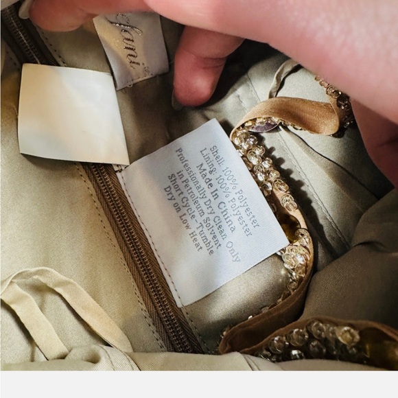 Elegant Gold and Brown Mini Dress - Picture 6 of 10